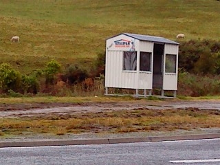 Bus shelter Napier Taupo Rd
